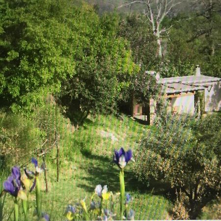 Вилла Cortijo La Vinuela Атальбейтар Экстерьер фото