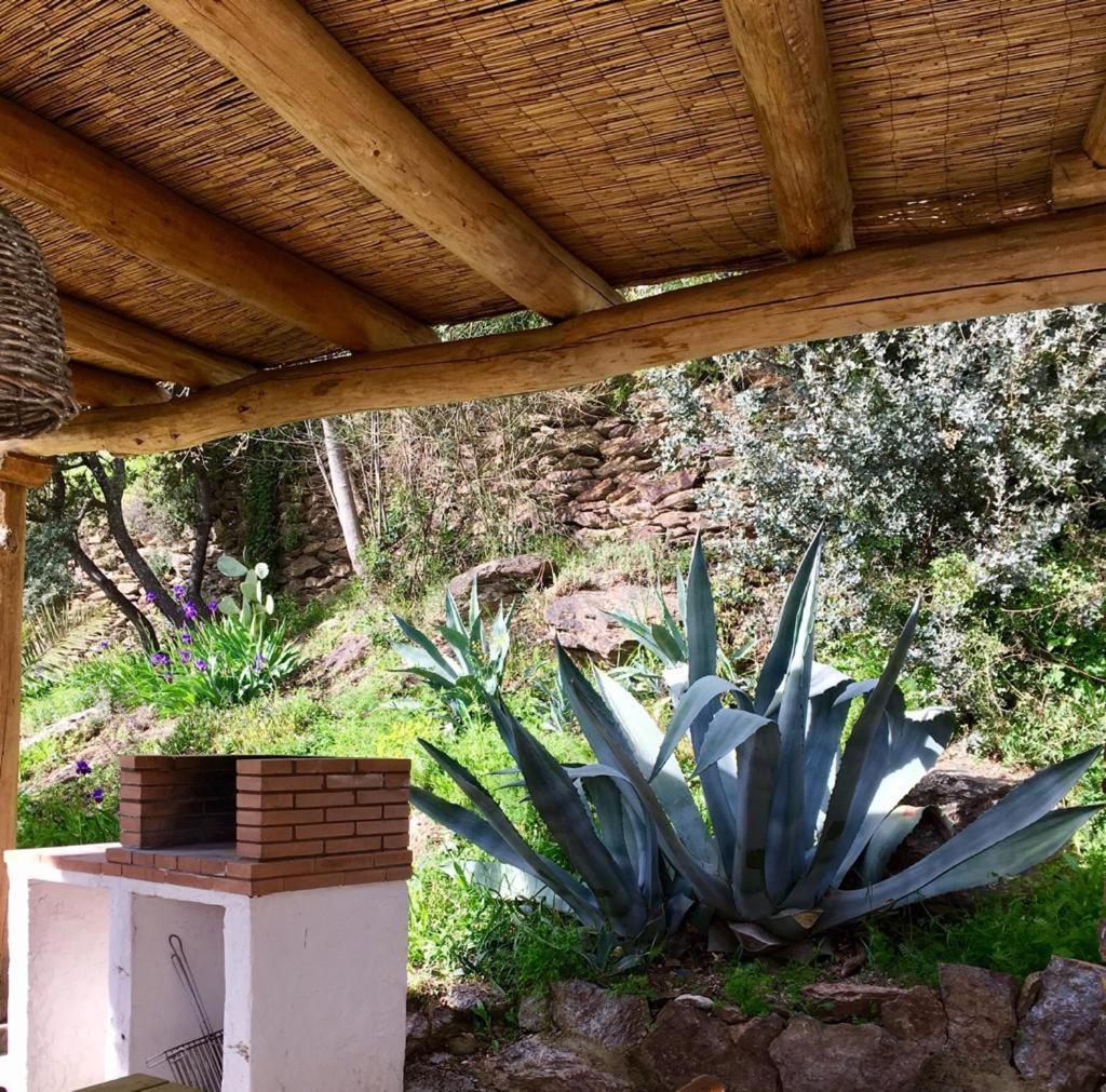 Вилла Cortijo La Vinuela Атальбейтар Экстерьер фото