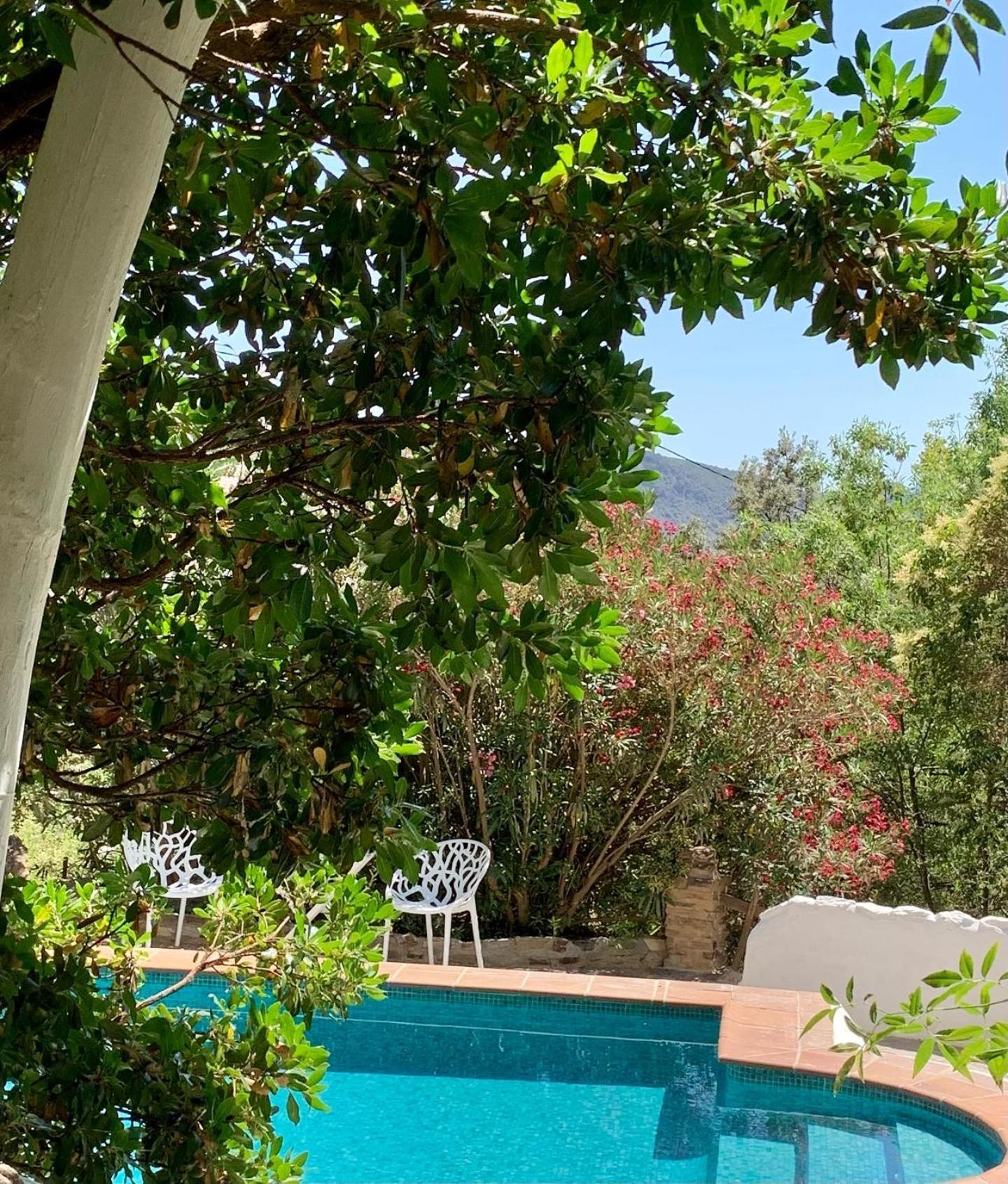Вилла Cortijo La Vinuela Атальбейтар Экстерьер фото
