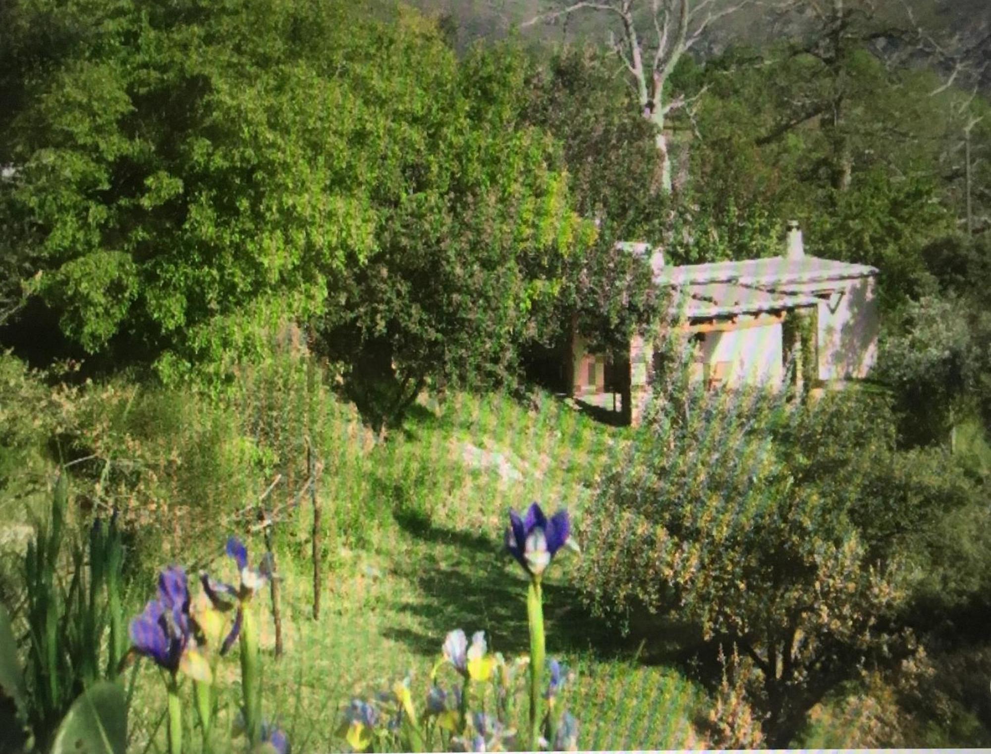 Вилла Cortijo La Vinuela Атальбейтар Экстерьер фото