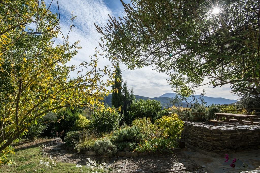 Вилла Cortijo La Vinuela Атальбейтар Экстерьер фото