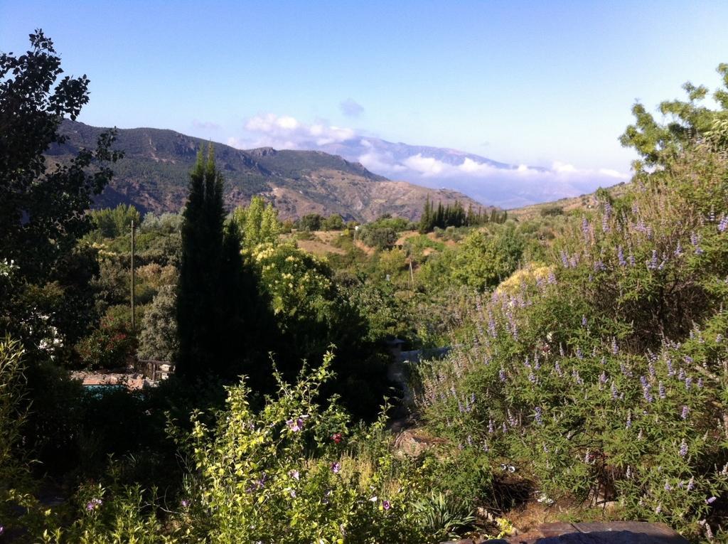 Вилла Cortijo La Vinuela Атальбейтар Экстерьер фото